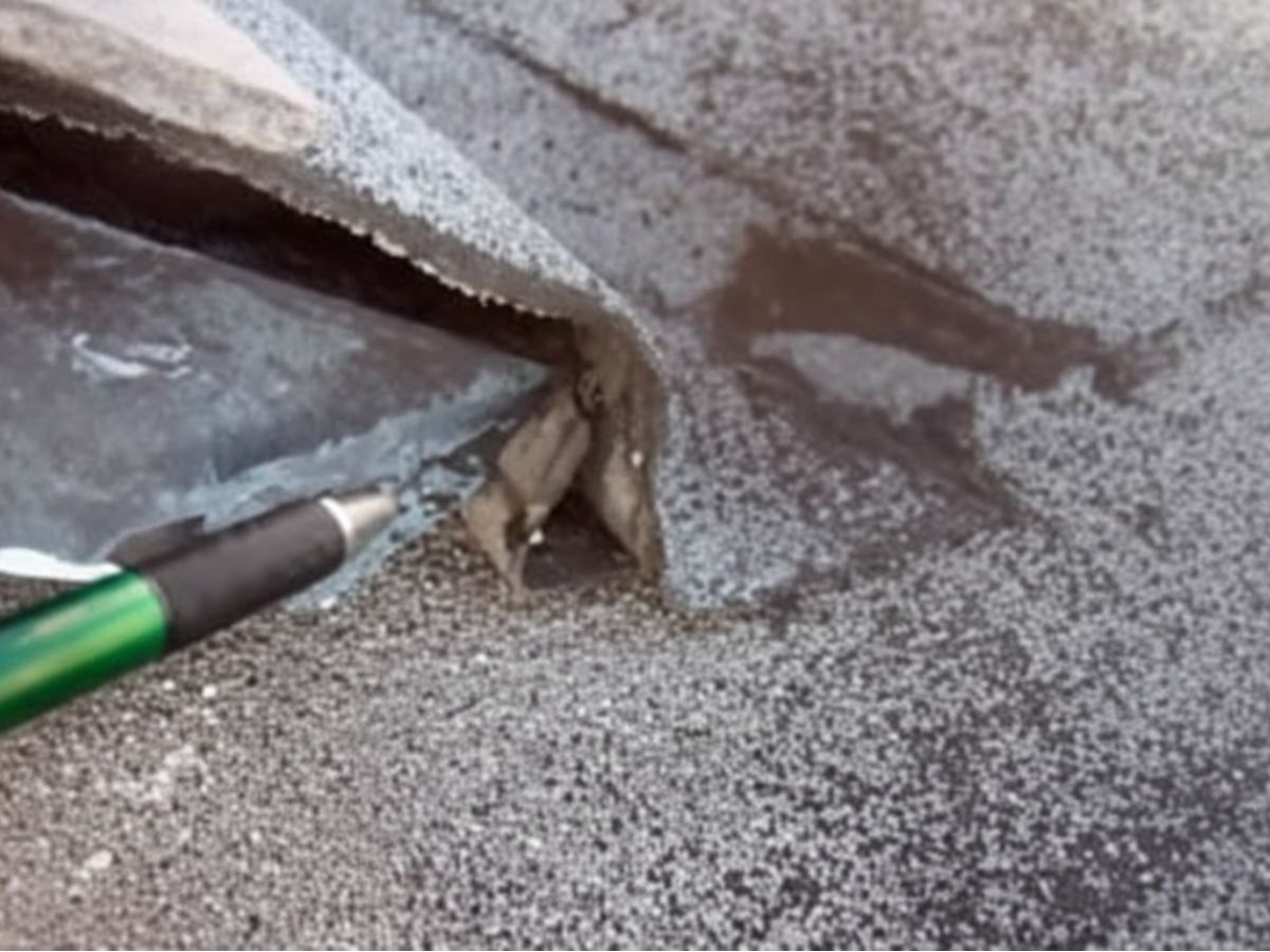 Lifted asphalt shingle exposing damaged flashing and open gap at roof edge, indicating potential water intrusion