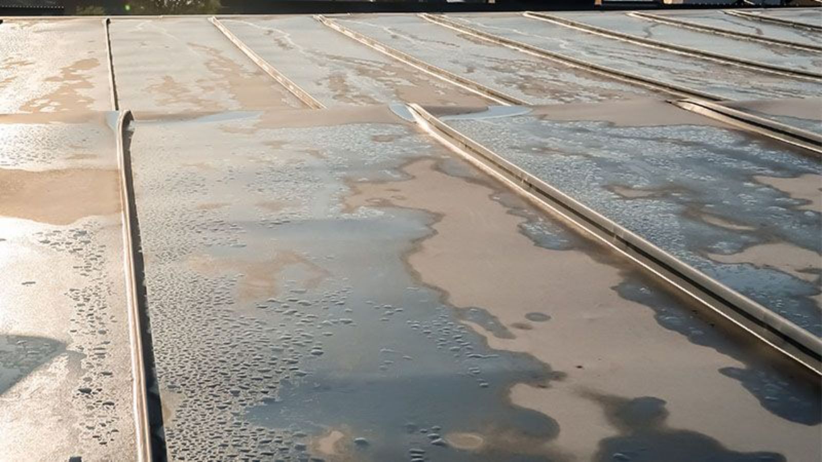 Standing water and moisture pooling on flat metal roof panels with visible seams and surface wear