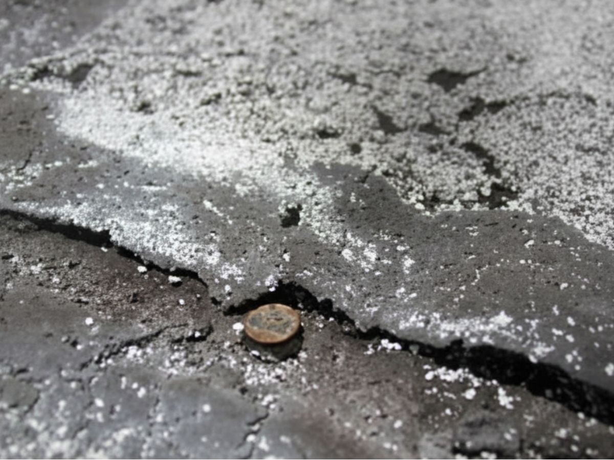 Close-up of flat roof surface showing roofing membrane and embedded fastener head