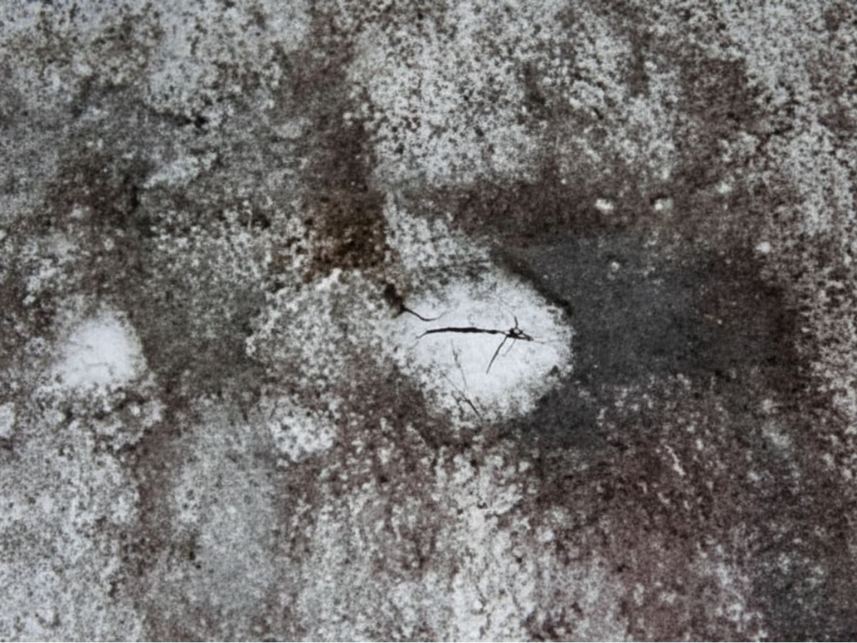 Close-up of asphalt roof surface showing exposed underlayer and granular wear