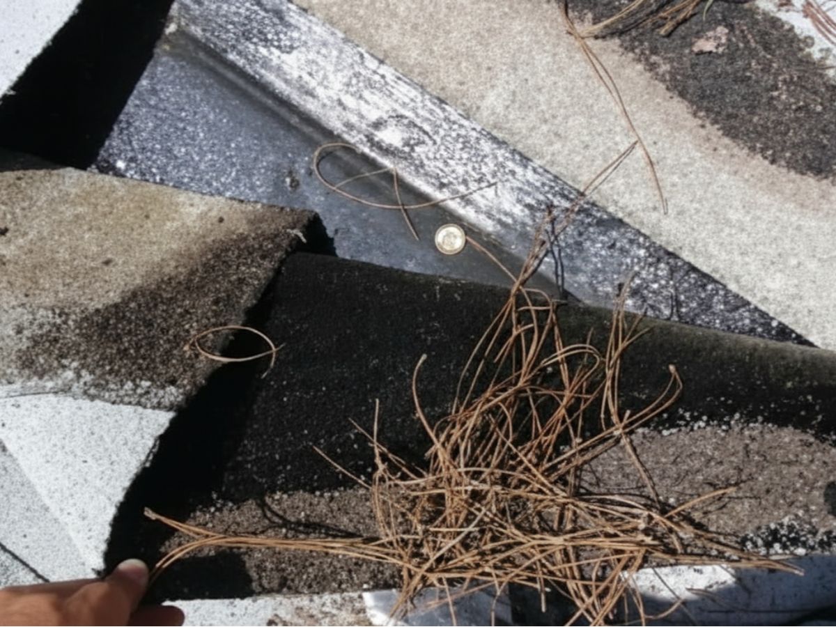 Debris buildup along roof valley exposing damaged flashing and shingle edges