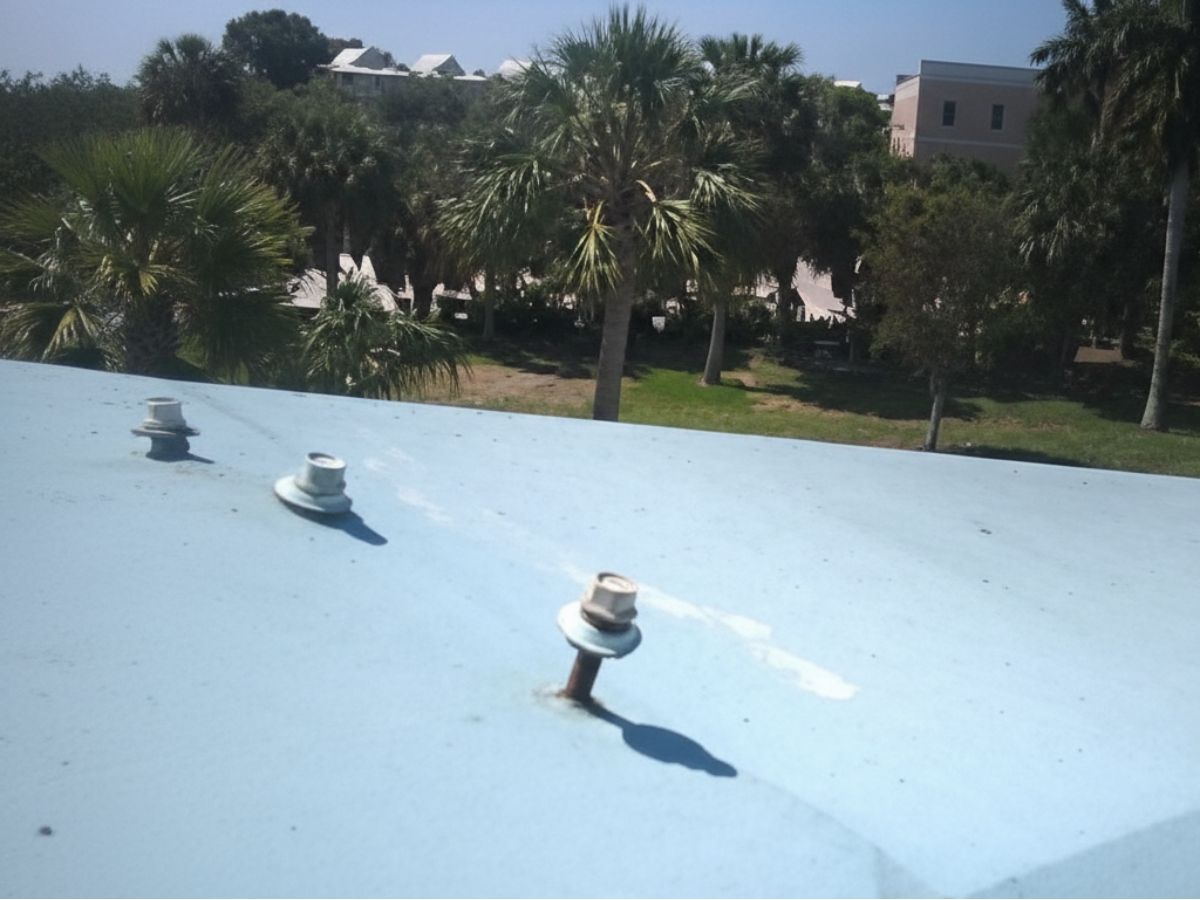 Exposed fasteners on a light blue metal roof with palm trees visible in the background.