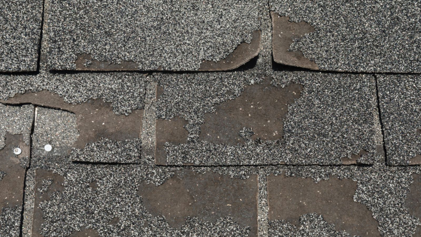 Close-up of worn asphalt roof shingles showing granule loss and surface deterioration.