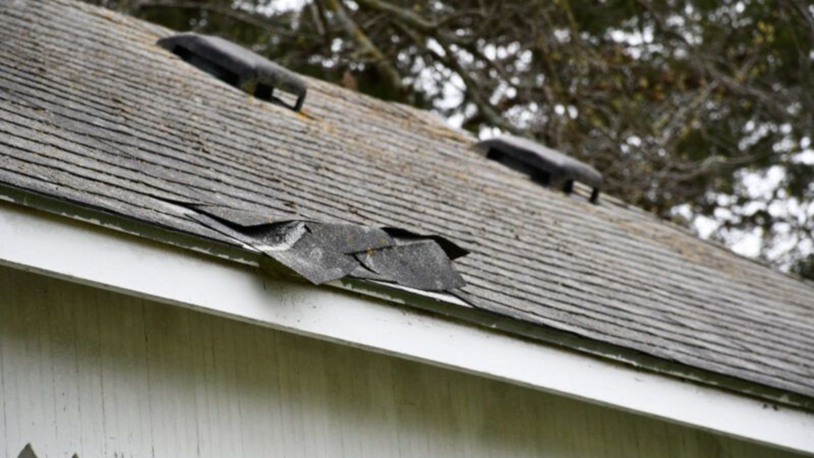 Lifted and damaged asphalt shingles along roof edge with visible separation near the eaves