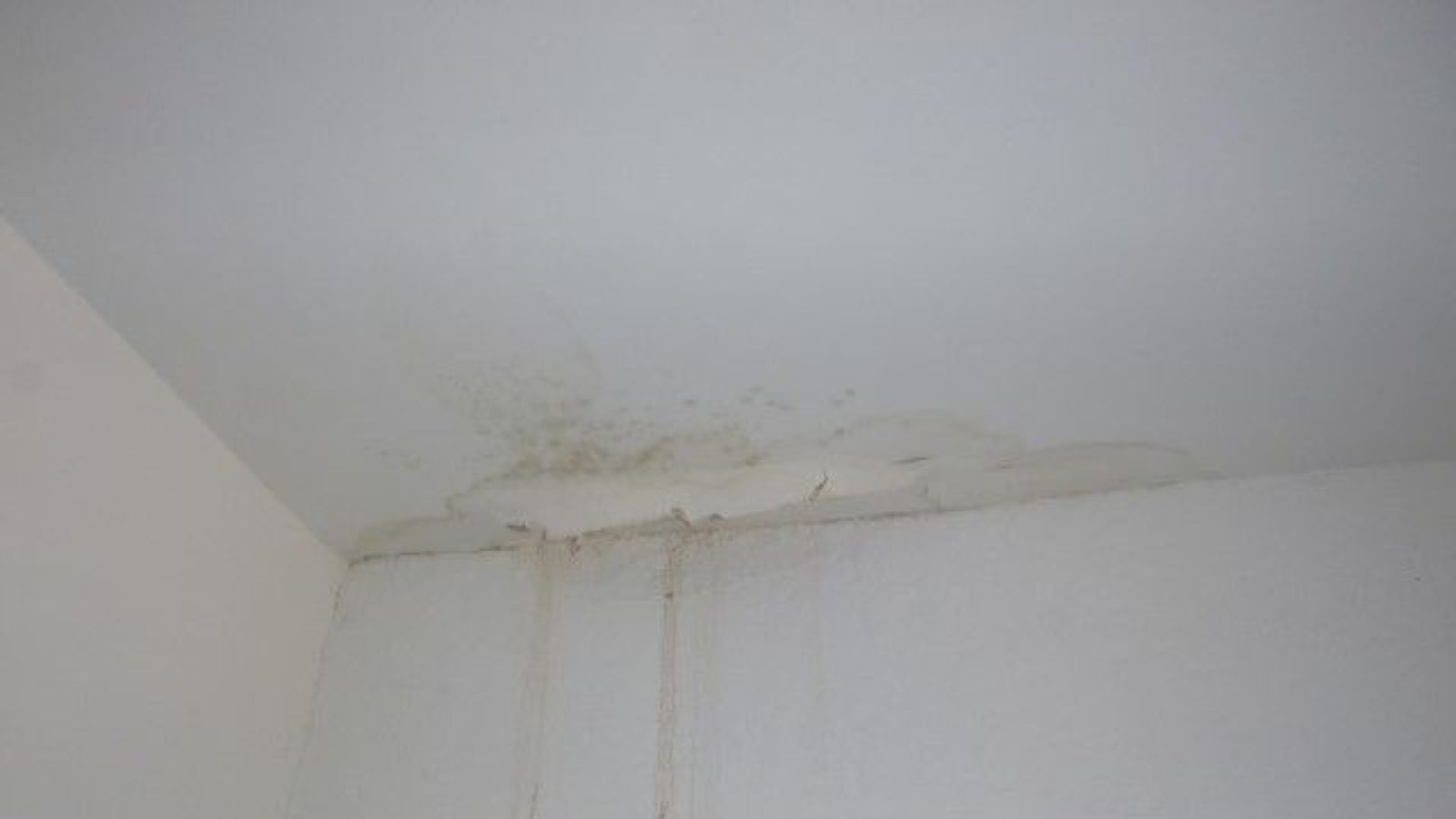 Water stains and moisture damage on interior ceiling corner indicating roof leak intrusion