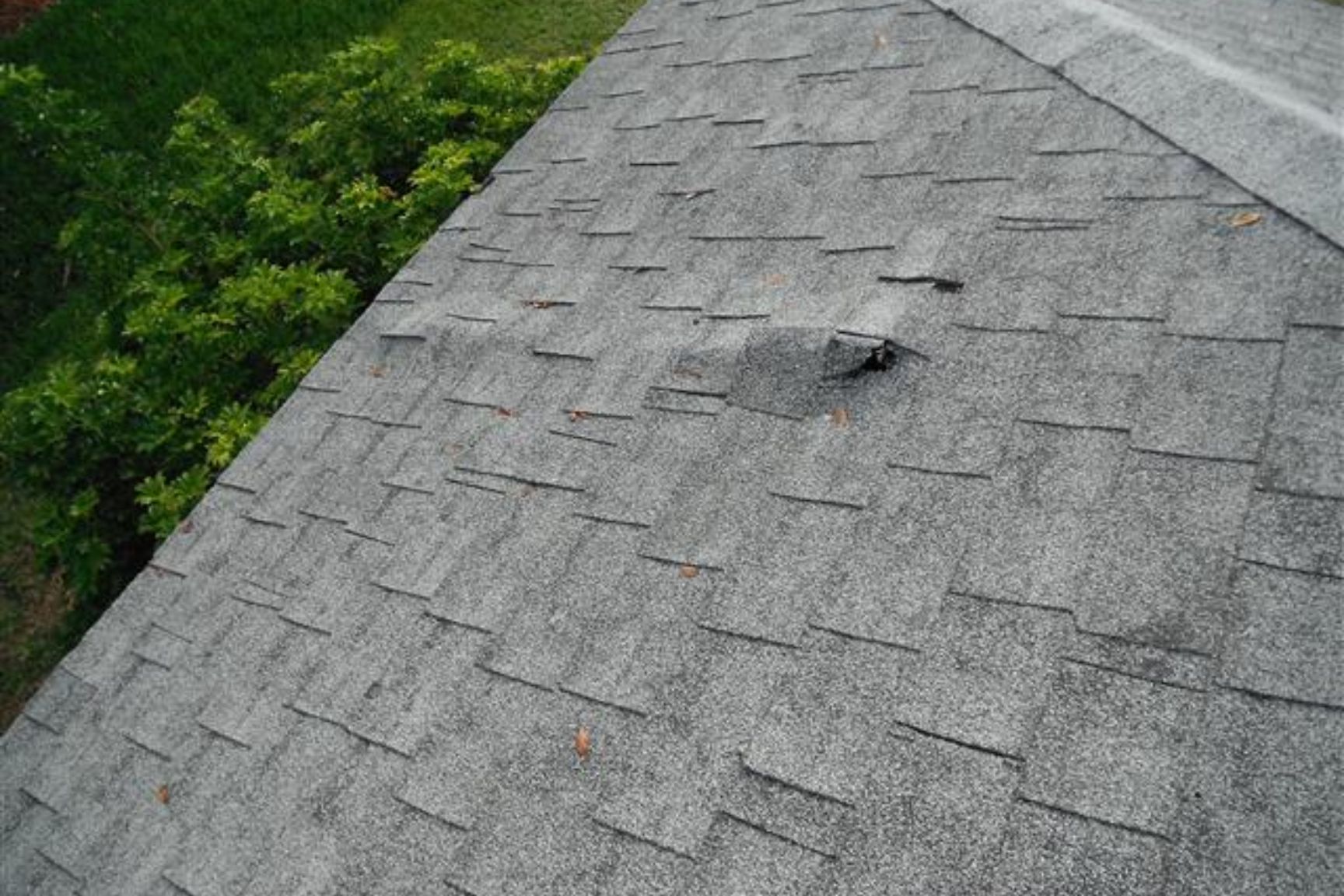 user-inserted Damaged asphalt shingle roof with lifted and missing shingles, indicating potential leak risk on residential home
