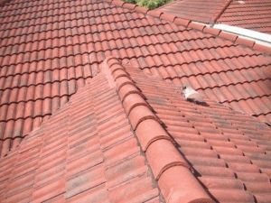 Tile Roof Repair or Replacement