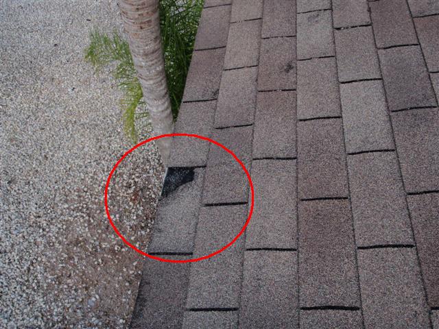 Broken Shingle Before Roof Repair