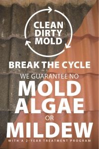 Clean-Dirty-Mold-01