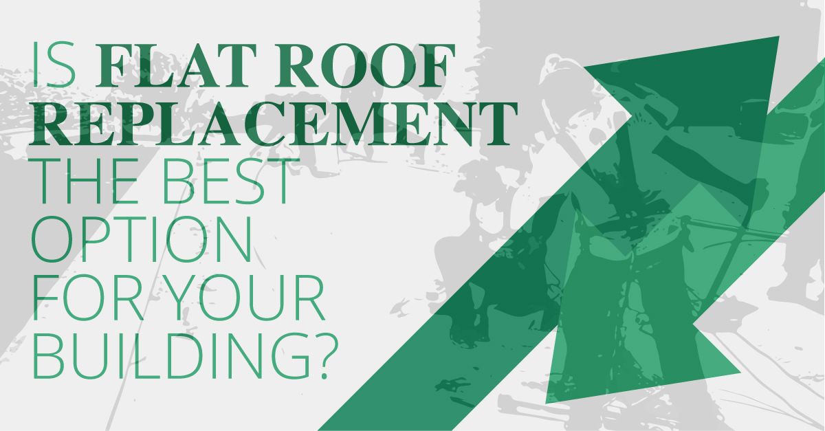Is Flat Roof Replacement the Best Option For Your Building?
