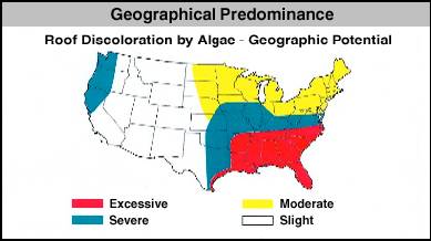 Geographical Predominance