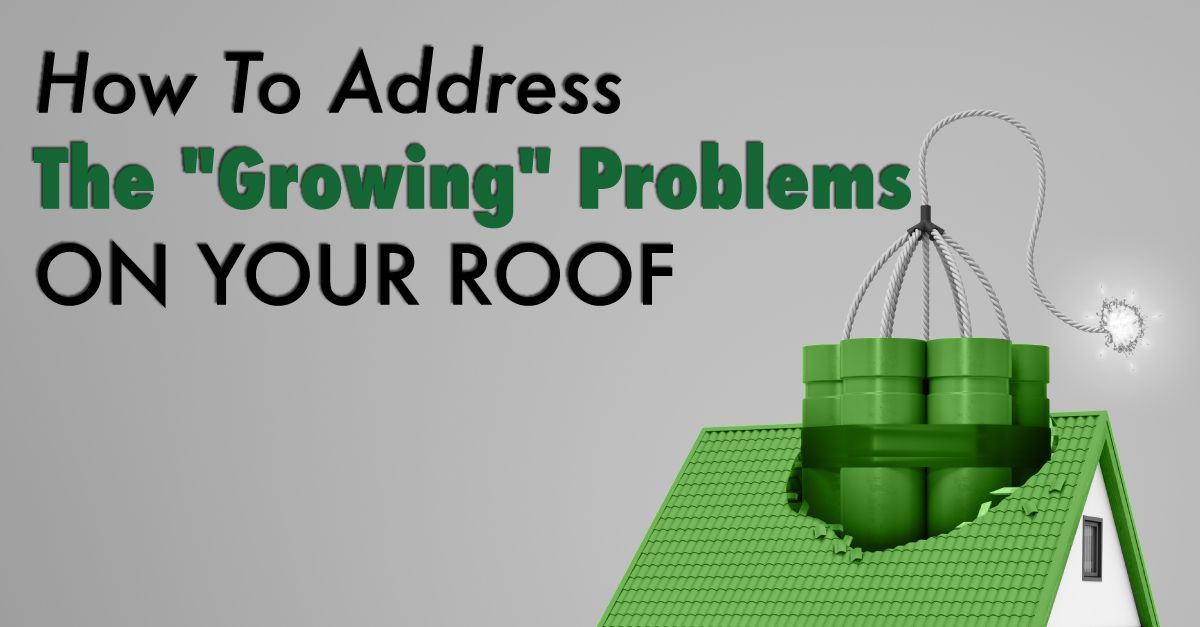 How To Address The "Growing" Problems On Your Roof