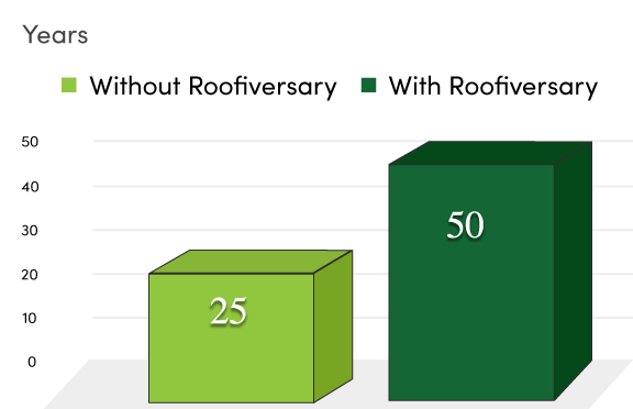 A Roofiversary graphic.