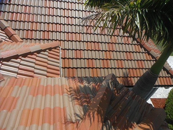 Tile Roof Restoration