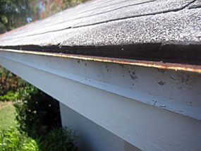 Starter strip used to seal the first row of perimeter shingles