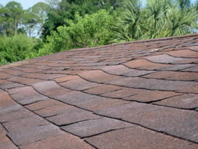 Curling Shingles