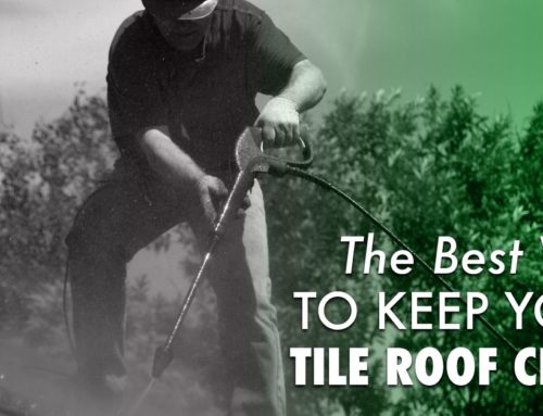 The Best Way To Keep Your Tile Roof Clean