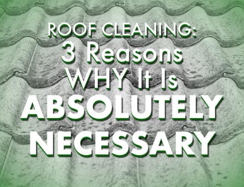 Roof Cleaning: 3 Reasons Why It Is Absolutely Necessary