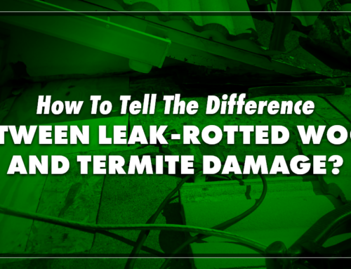 How To Tell The Difference Between Leak-Rotted Wood and Termite Damage?