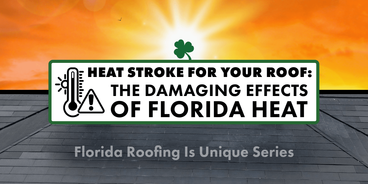 the damaging effects of florida heat