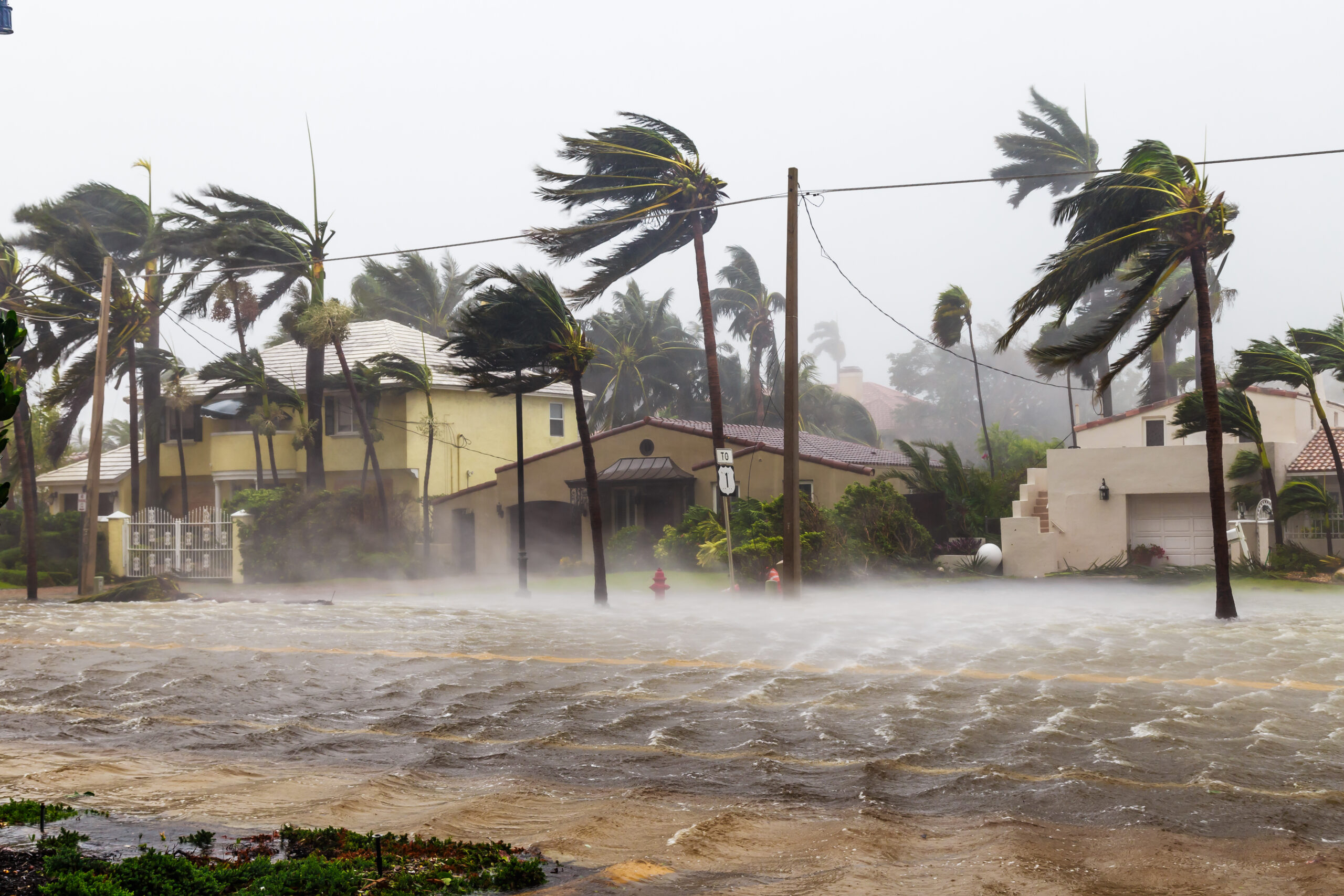 hurricane force winds and flooding in florida