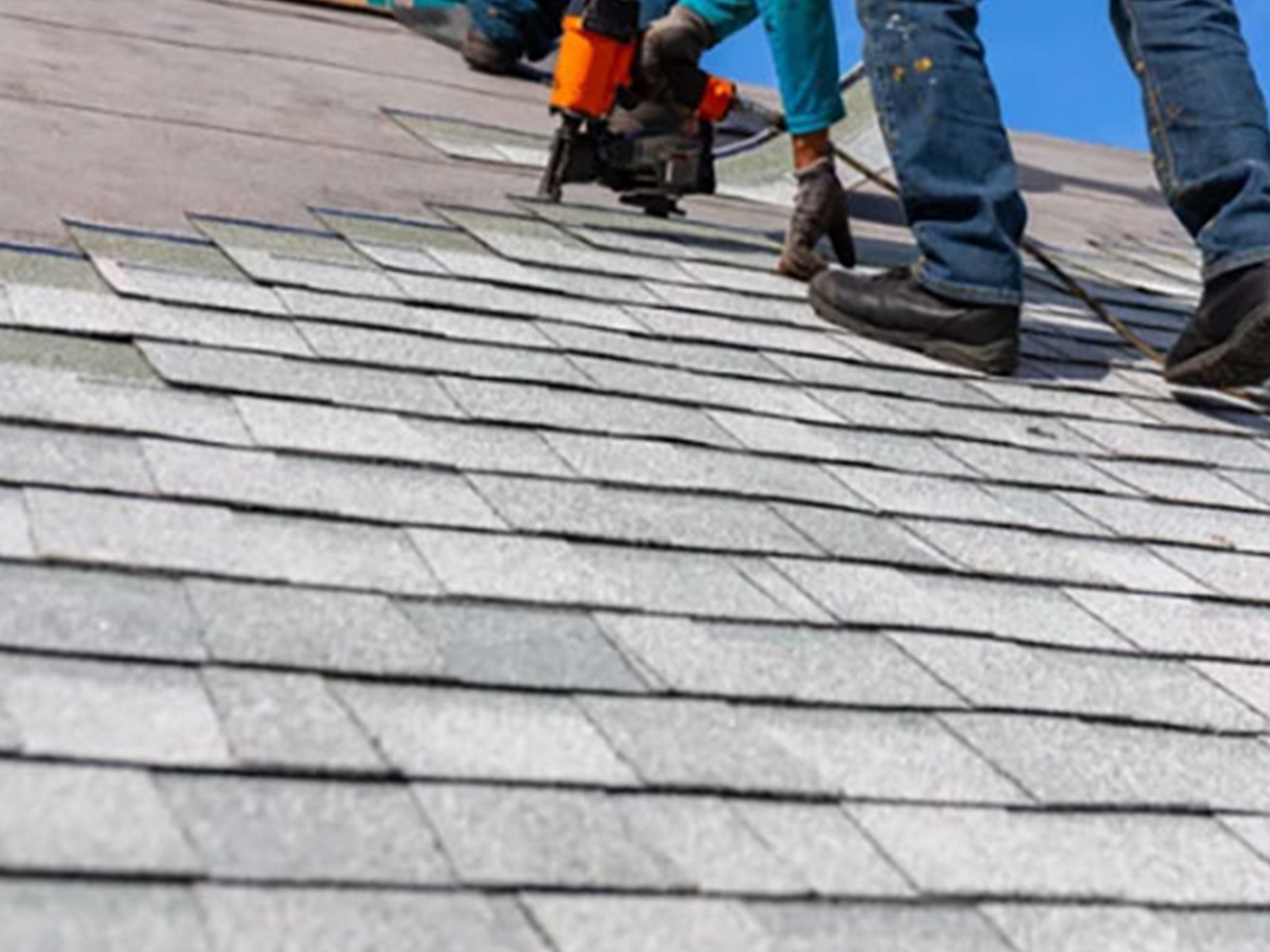 shingle reroof project