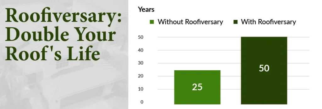 Roofiversay Double Your Roof's Life